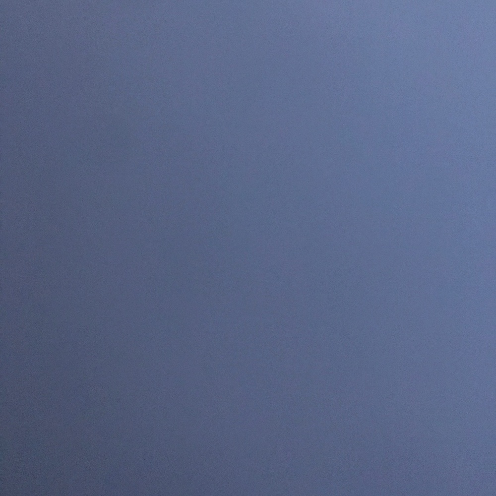 Champion sweater xxl